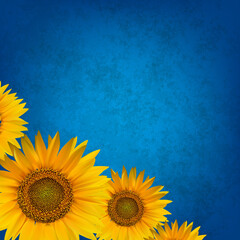 abstract floral background with sunflower - 509993975