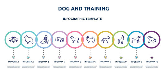dog and training concept infographic design template. included null, tibetan mastiff, null, dog sleeping, english mastiff, shih tzu, springer spaniel, egyptian cat, scold the dog icons and 10 option
