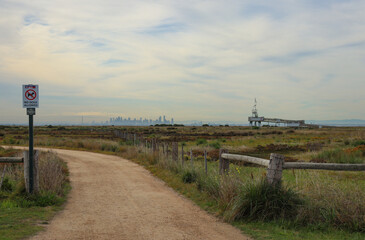path through wetlands to observation tower with city skyline of Melbourne visible in the fog