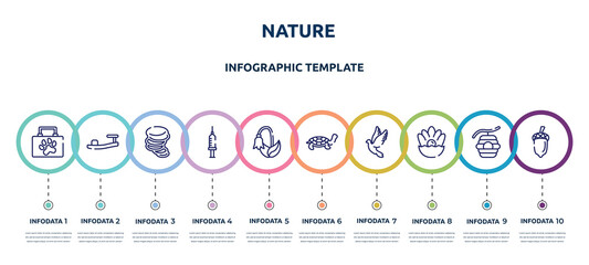 nature concept infographic design template. included animal aid, sandals, tornado, syringe, harebell, tortoise, dove, pearl, acorn icons and 10 option or steps.