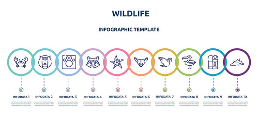 wildlife concept infographic design template. included crab, baboon, veterinarian, racoon, starfish, fennec, dove, pelican, moss icons and 10 option or steps.