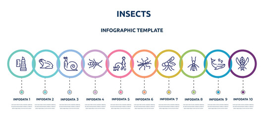 insects concept infographic design template. included balm, frog, snail, earwig, walking the dog, mantis, mosquito, termite, winged insect icons and 10 option or steps.