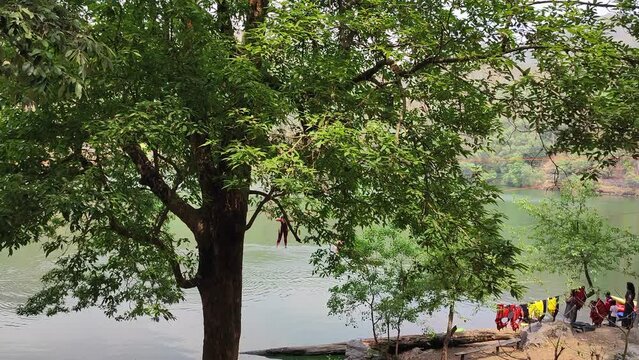 Man swinging by tree at lake 