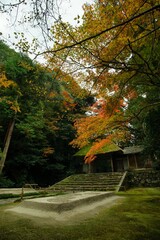 Kyoto Honen-in temple in autumn leaves season