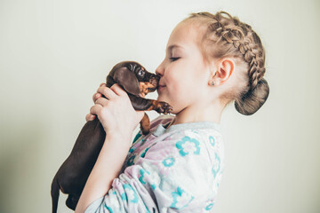 Adorable puppy in the hands of a little girl. Dachshund puppy. 