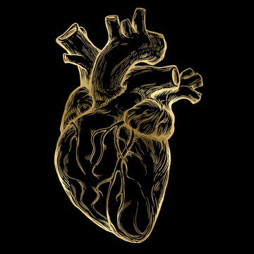 Realistic heart golden graphic on isolated black background