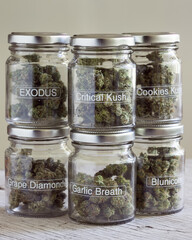 Jars of cannabis buds. Glass jars and green marijuana buds.