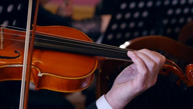 Closeup of musician playing violin in symphony orchestra, View of violinist man fingering strings and bow