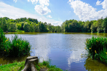 Beuerbacher See near Beuerbach. Pond with surrounding nature in Hesse. Landscape at the lake.
