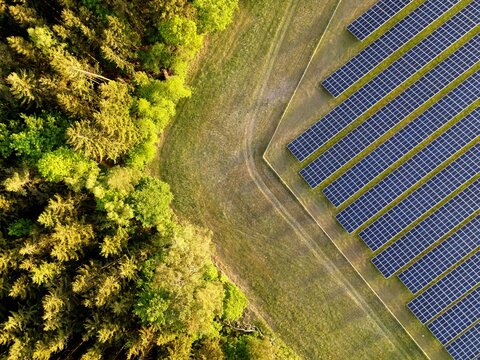Photovoltaikanlage - Solarpark - Freiflächenanlage mit grünem Wald und Wiese im Hintergrund. Luftbildaufnahme mit Drohne.