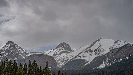 Obraz premium Landscape in the morning