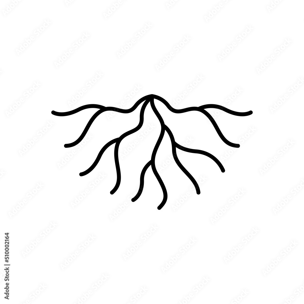 Canvas Prints root logo icon design vector