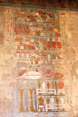 ancient egypt images in Temple of Hatshepsut