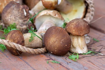 Forest picking mushrooms in wickered basket top view copy space. Fresh raw mushrooms on the table. the view from the top