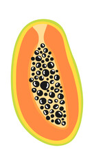 Papaya Exotic Fruit. Vector illustration