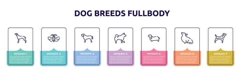 dog breeds fullbody concept infographic design template. included greyhound, null, english mastiff, malamute, bas hound, corgi, beagle icons and 7 option or steps.