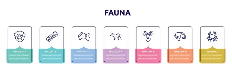 fauna concept infographic design template. included chimpanzee head, pet comb, pet dress, dog urinating, deer head, dog chasing tail, big crab icons and 7 option or steps.