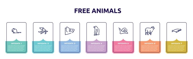free animals concept infographic design template. included sitting mouse, wild octopus, chameleon head, sitting penguin, null, black sheep, whale swimming icons and 7 option or steps.