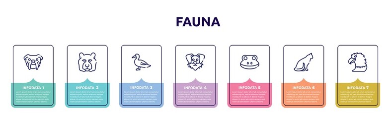 fauna concept infographic design template. included bulldog head, tiger head, wild duck, funny dog head, frog sitting cat, eagle icons and 7 option or steps.