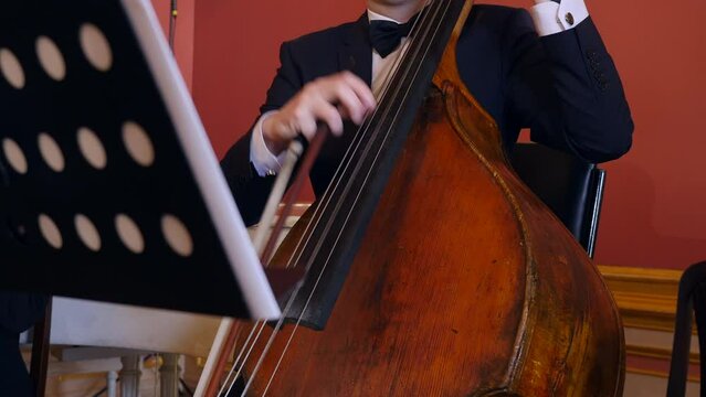 Musician play double basse in symphony orchestra
