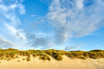 Beach and dunes on the Danish coastline under a blue sky with clouds