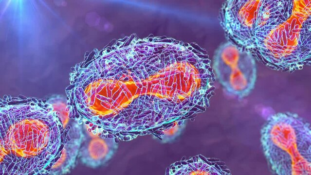 Monkeypox virus, 3D animation. A zoonotic virus from Poxviridae family, causes monkeypox, a pox-like disease