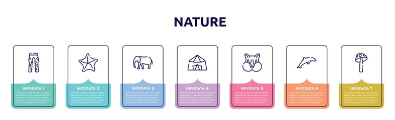 nature concept infographic design template. included fatigue, starfish, elephants, jaima tent, chipmunk, dolphin, amanita icons and 7 option or steps.