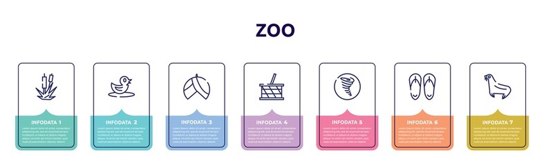 zoo concept infographic design template. included bulrush, duck, turban, picnic basket, tornado, sandals, sea lion icons and 7 option or steps.