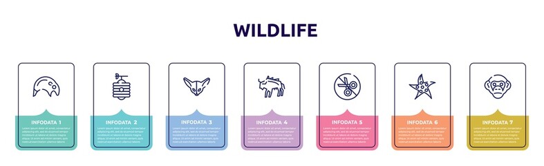 wildlife concept infographic design template. included tapir, beehive, fennec, bison, no cut, starfish, chimpanzee icons and 7 option or steps.