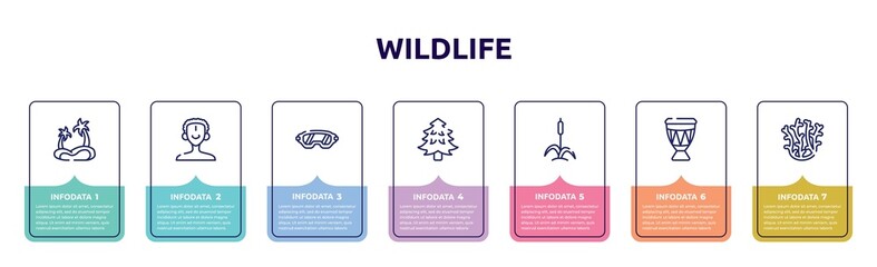 wildlife concept infographic design template. included oasis, african man, safety glasses, pine tree, cattail, drum, coral icons and 7 option or steps.
