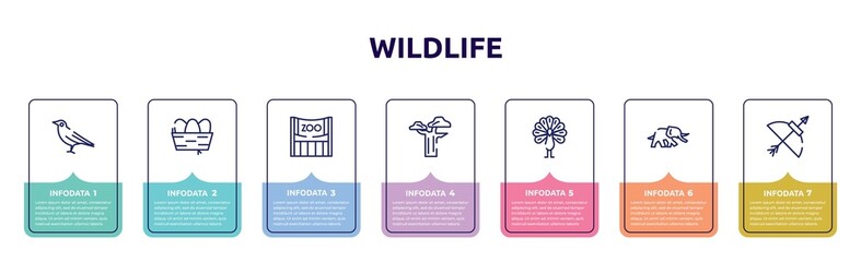 wildlife concept infographic design template. included crow, nest, zoo, baobab, peacock, elephants, bow and arrow icons and 7 option or steps.