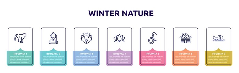 winter nature concept infographic design template. included monkeys, backpack, hedgehog, lotus, snake, cabin, sled icons and 7 option or steps.