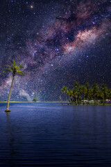 tropical island with trees in the night with the stars and moon