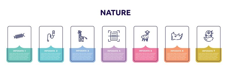 nature concept infographic design template. included centipede, teasing stick, giraffe, scanning, alpaca, rhinoceros, chick icons and 7 option or steps.