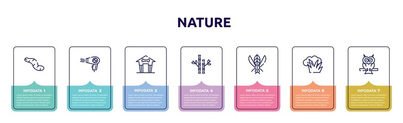 nature concept infographic design template. included worm, hair dryer, pet house, bamboo, winged insect, bush, owl icons and 7 option or steps.
