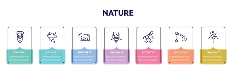 nature concept infographic design template. included facial treatment, thunderstorm, polar bear, bedbug, mosquito, branch, spider icons and 7 option or steps.