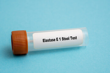 Elastase E 1 Stool Test