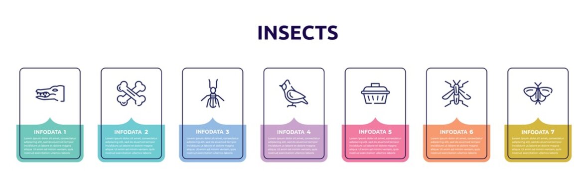 insects concept infographic design template. included crocodile, bones, termite, cardinal, pet cage, wasp, moth icons and 7 option or steps.