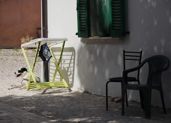 Italian Rural Village Street View with Dog, Drying Rack and Empty Chairs