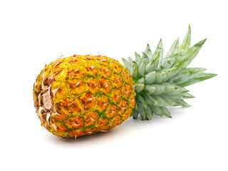 Pineapple fruit isolated on white background