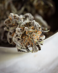 Dried and untrimmed cannabis flowers and buds. Marijuana plant with curled leaves against a neutral light background.