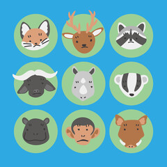 動物の顔のイラストのセット