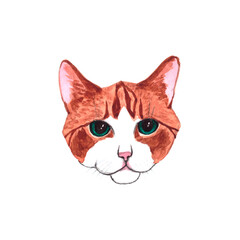Hand drawn red cat isolated on background