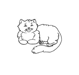 Hand drawn white cat isolated on background