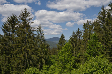 Blick auf den Großen Arber im Bayerischen Wald