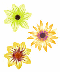Set of summer flowers isolated on white background. Summer party decor. Festival decorations.