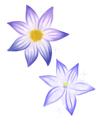 Purple watercolour  water lily isolated on white. Summer flowers set.