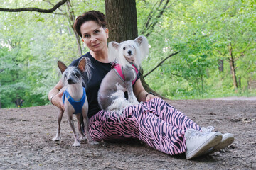 Woman and two Chinese Crested dogs for a walk. Purebred hairless dogs in harnesses sitting next to their owner.