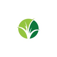 green grass logo design template