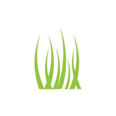 Fototapeta na wymiar green grass logo design template